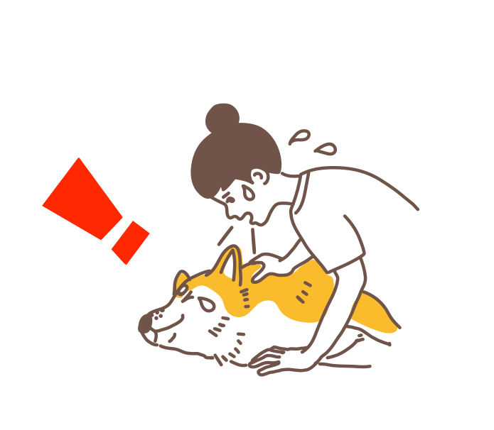 詳細を見てみる