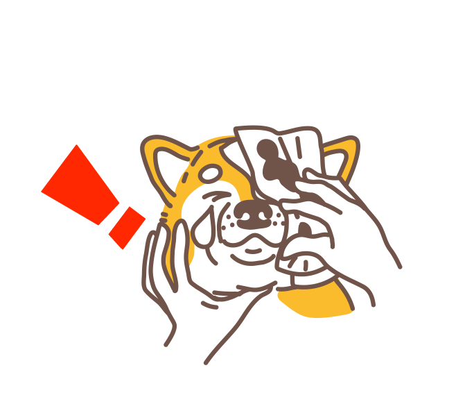 詳細を見てみる