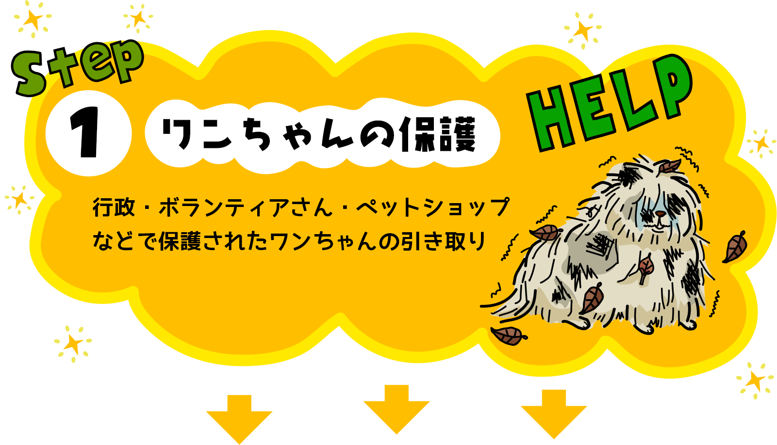 00ワンちゃんの保護