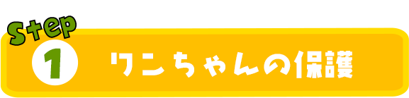 01ワンちゃんの保護
