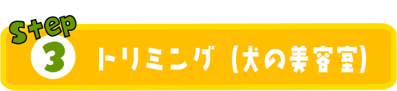 03トリミング（犬の美容室）