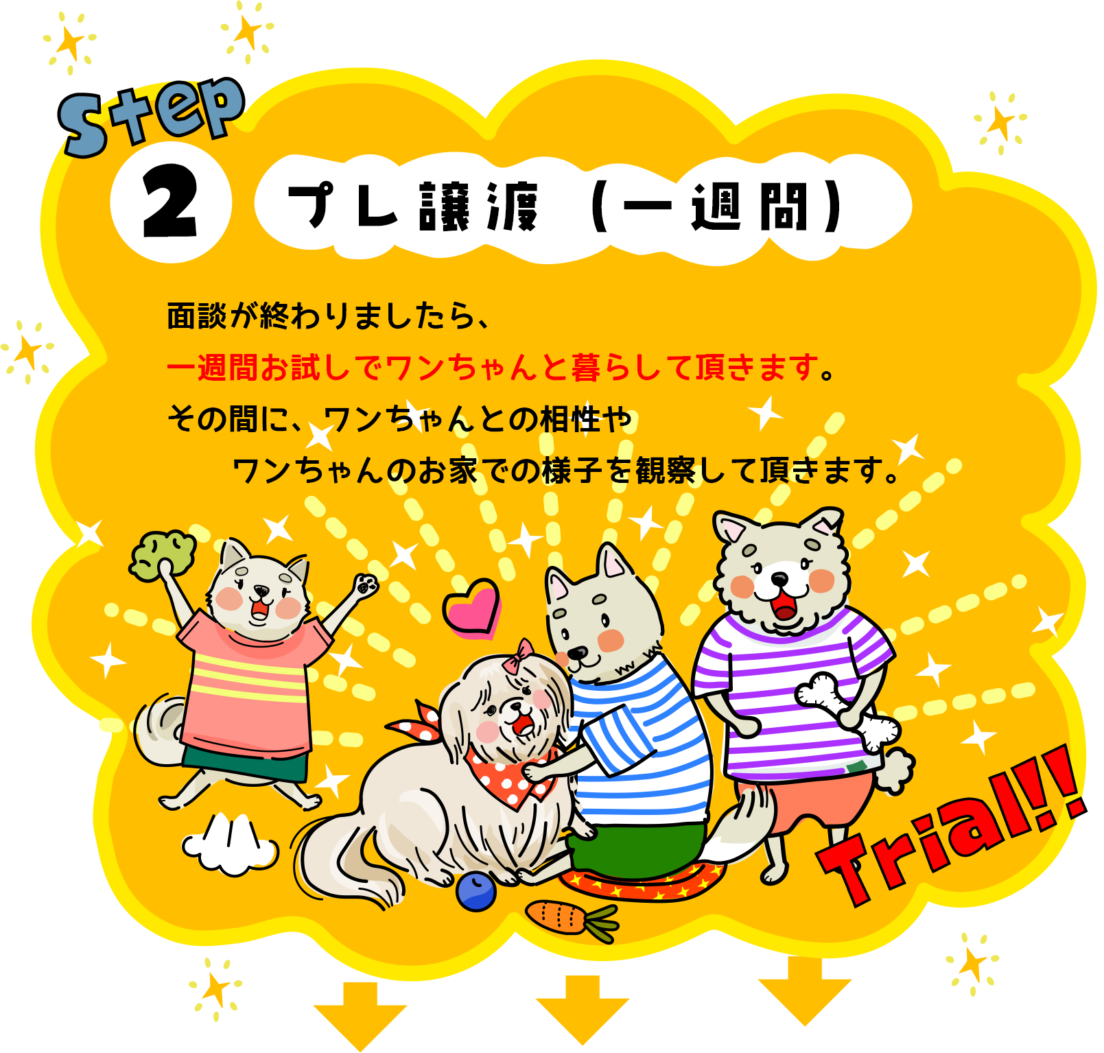 02プレ譲渡（一週間）